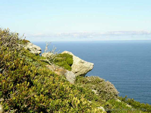 036bonne esperance